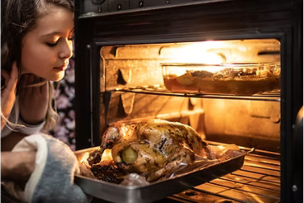 Electric oven repair service
